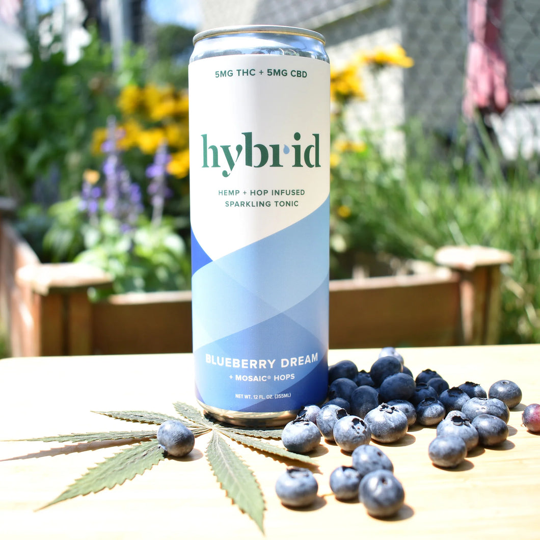 Hybrid Blueberry Dream THC Sparkling Tonic - 4PK