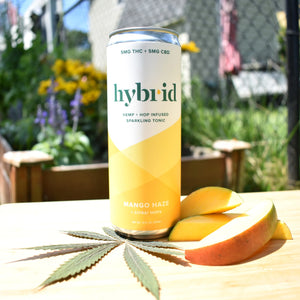 Hybrid Mango Haze THC Sparkling Tonic - 4PK