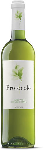 Protocolo White
