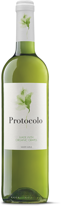Protocolo White
