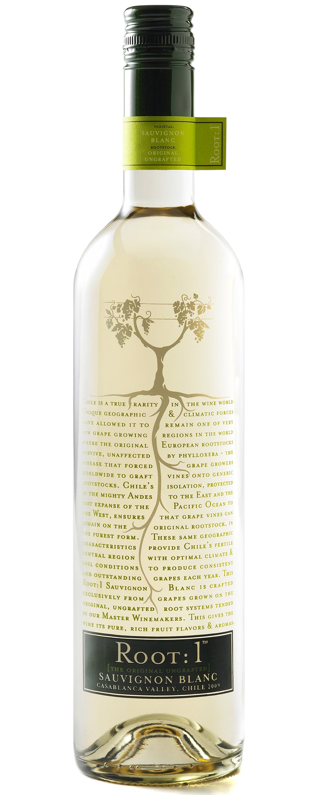 Root: 1 Sauvignon Blanc